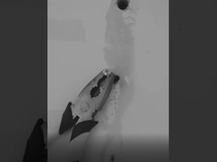 στεγανωτική ουσία σιλικόνης